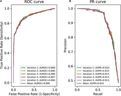 IntSplice2: Prediction of the Splicing Effects of Intronic Single-Nucleotide Variants Using LightGBM Modeling